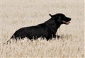 A-Prov_Toppeladugard_110924_091.jpg