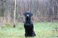 Ash 20110785.jpg