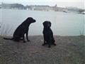 DSC00011.JPG