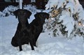 DSC_0525.JPG