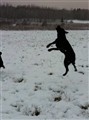 Jack_111221.JPG