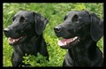 berri_bess_0907.jpg