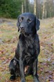 nyår_2011-12_106.JPG